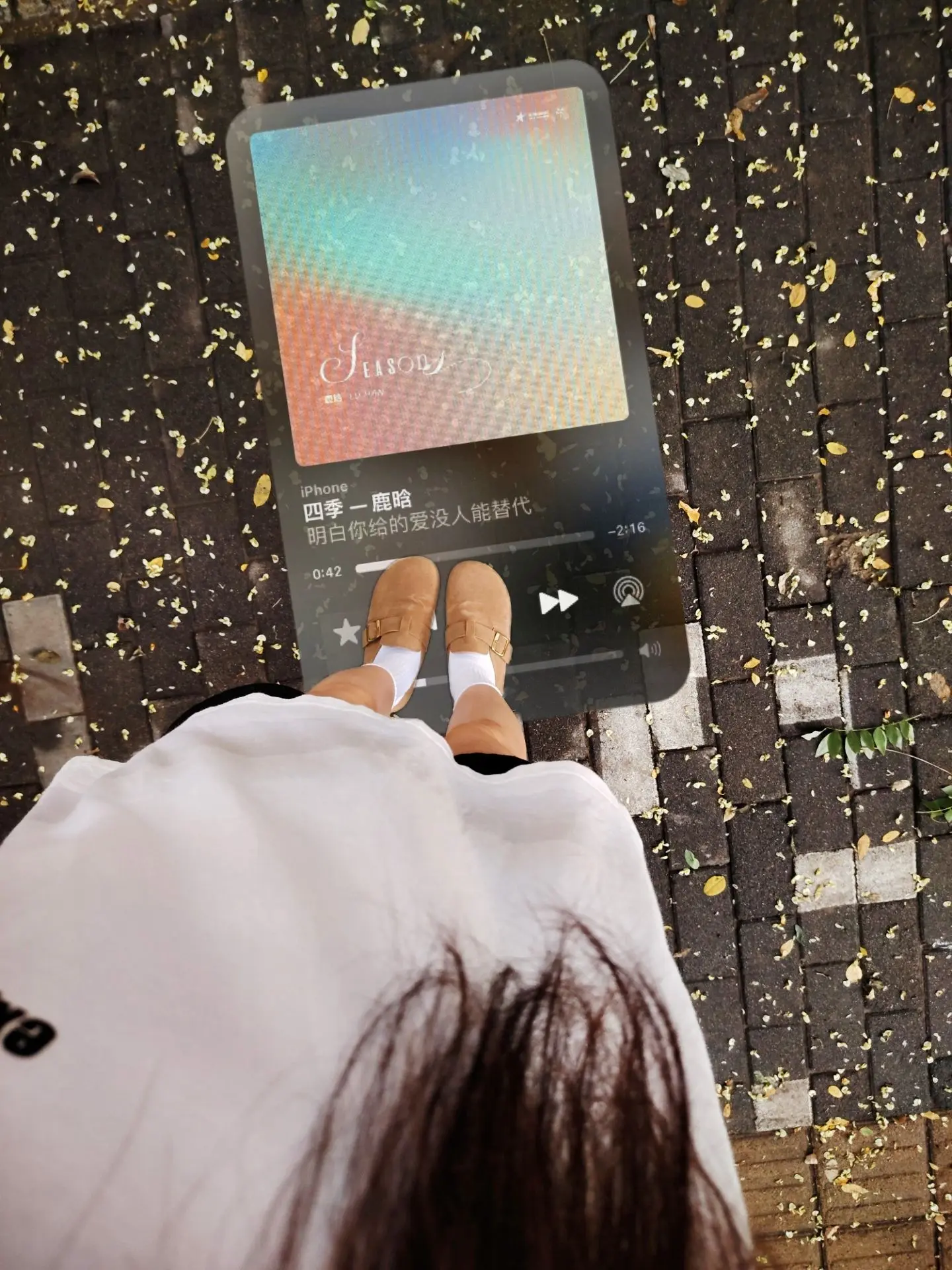 鹿晗 鹿晗演唱会