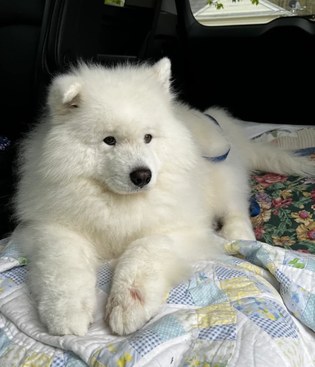 孩子大了有什么心事都是藏在脸上