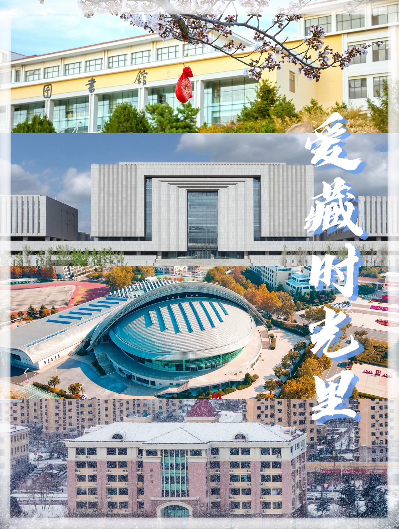 1924年的潮声漫过百年，在黄海之滨刻下爱的年轮。海大的爱，藏在每一段与你相关的