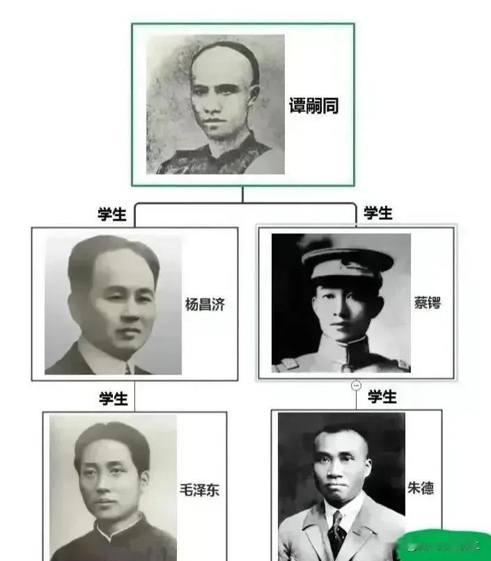 毛泽东：老师是杨昌济；
杨昌济：老师是谭嗣同；
朱德：老师是蔡锷；
蔡锷：老师是