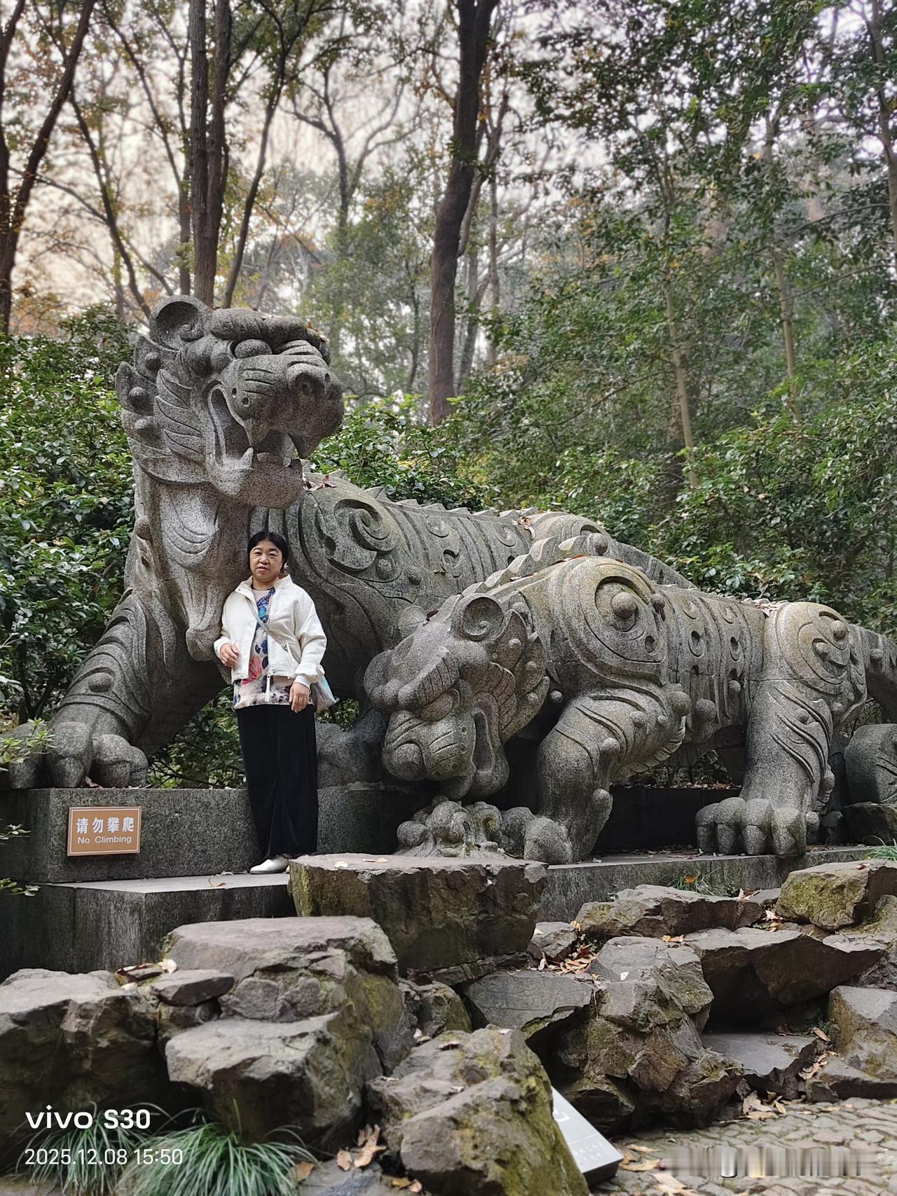 冬日生活打卡季