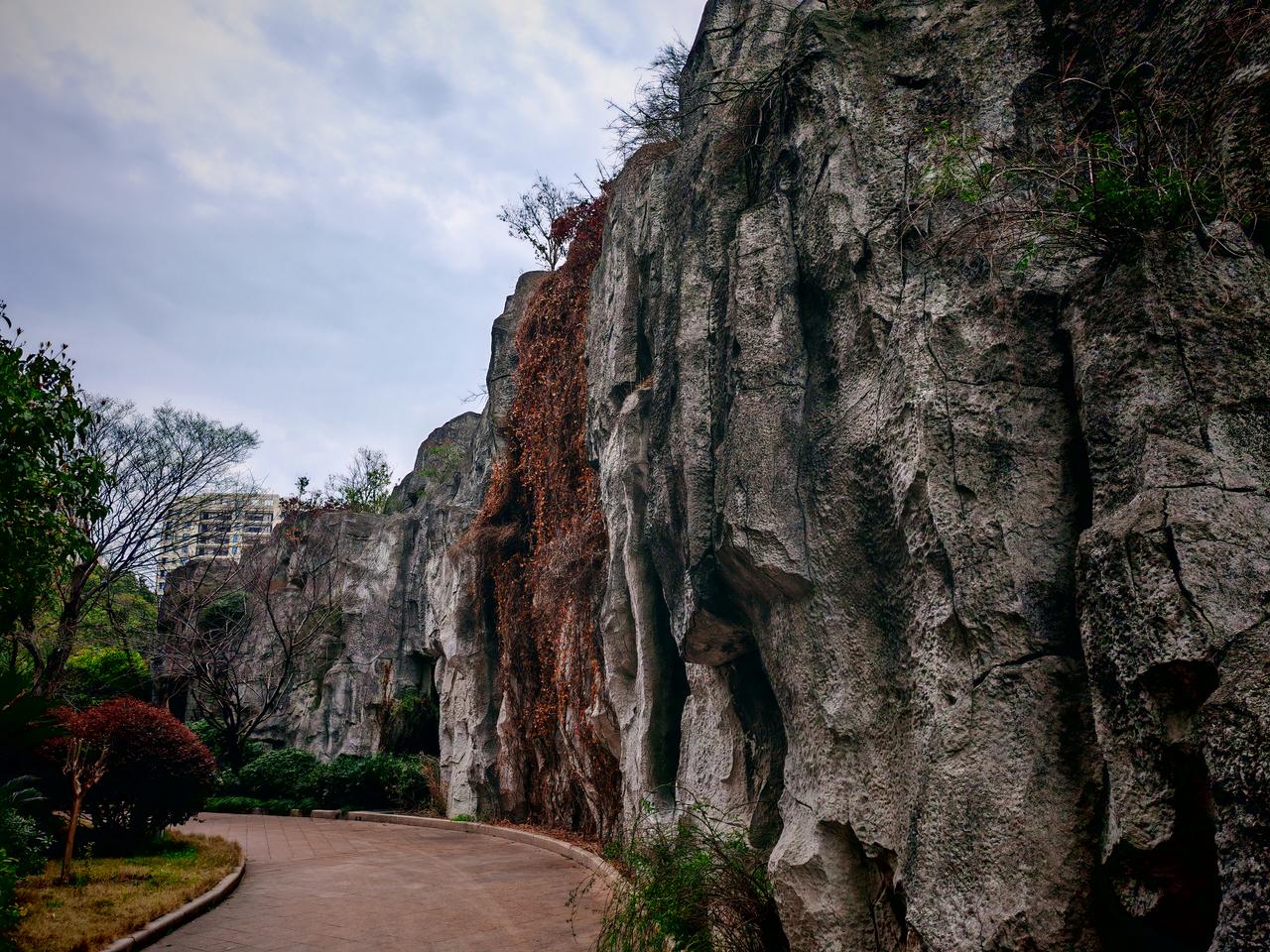 春日生活打卡季