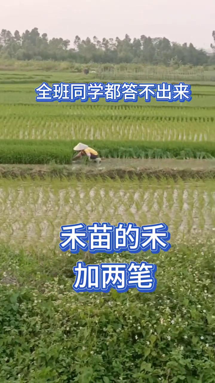 全班同学都答不出来禾苗的禾。
加两笔。
