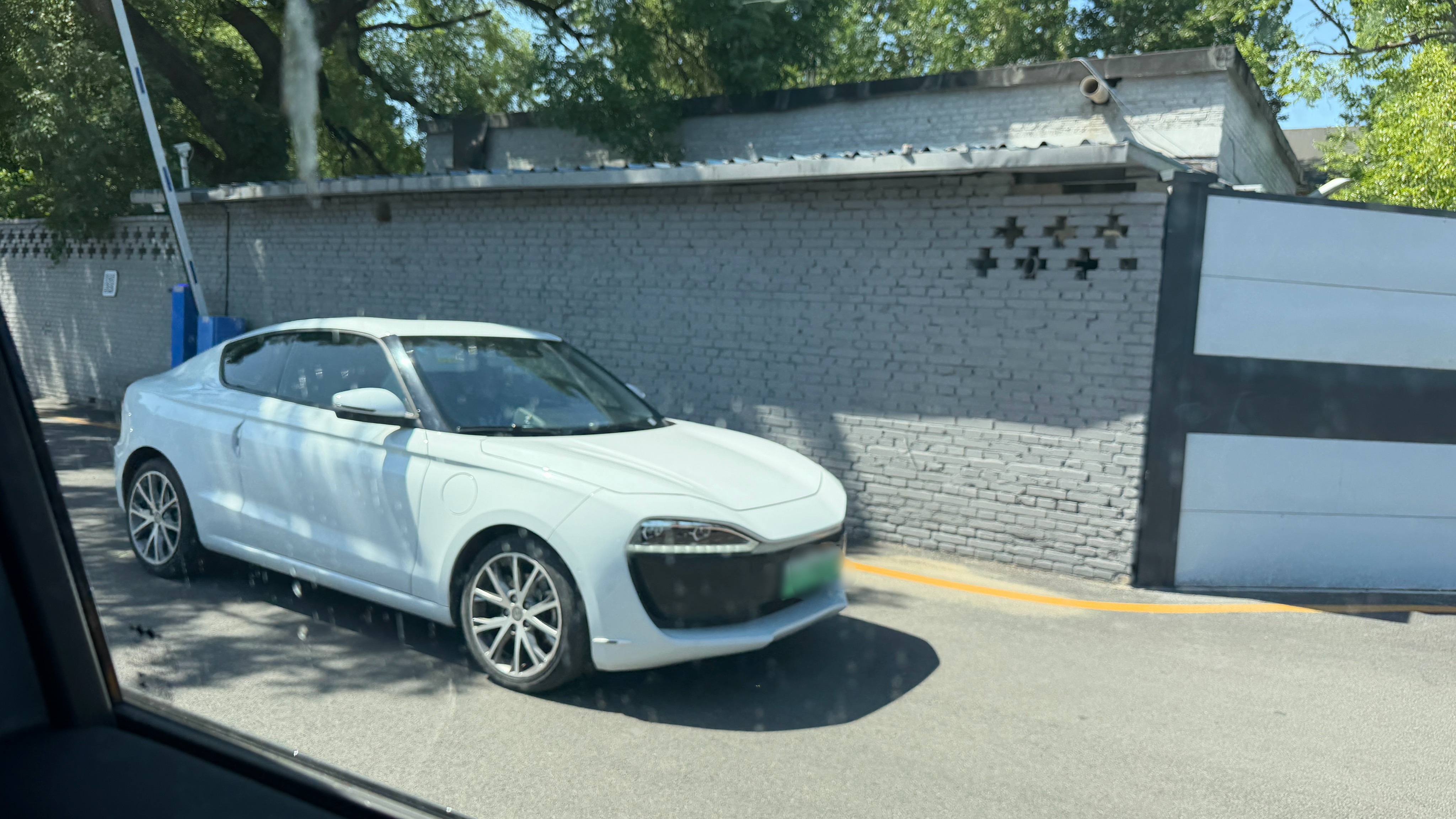 稀有物种！有人认识吗？小跑车