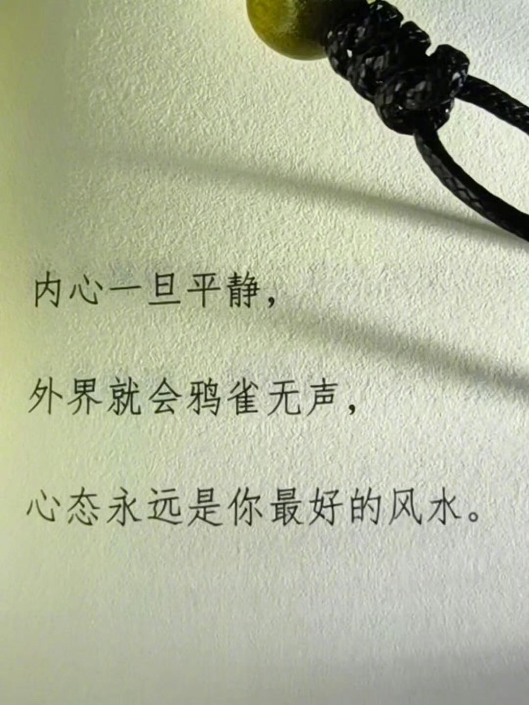 肇庆  心态永远是你最好的风水  肇庆·星湖国际广场