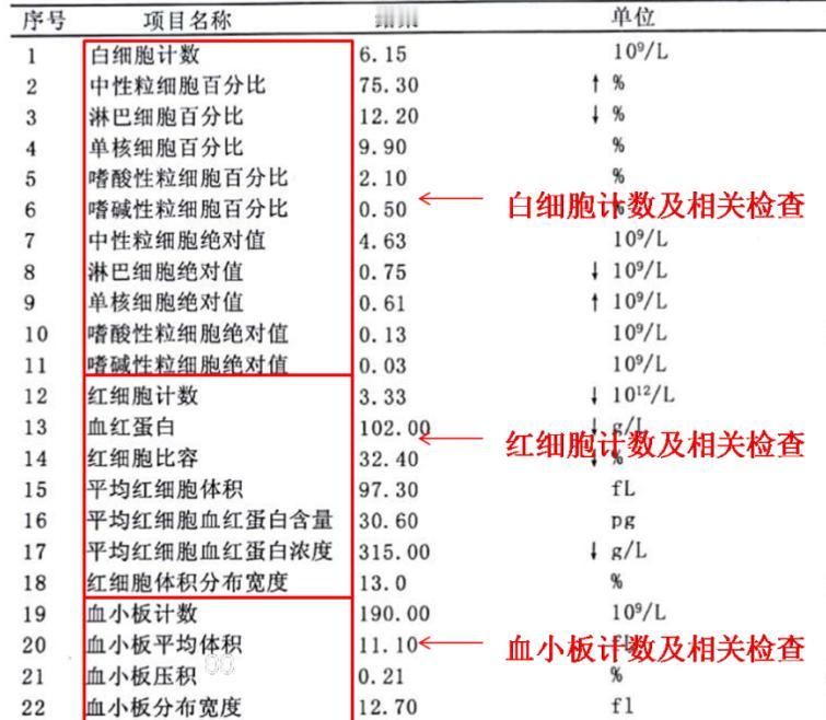 血常规报告上中的“↑↓” 代表什么？一文带你了解清楚！

大家好，我是血液中医刘