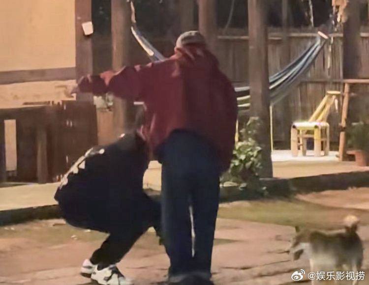 何炅黄磊回乌镇蘑菇屋了这个画面真的很治愈，何炅黄磊回乌镇蘑菇屋，带着小H小O遛弯