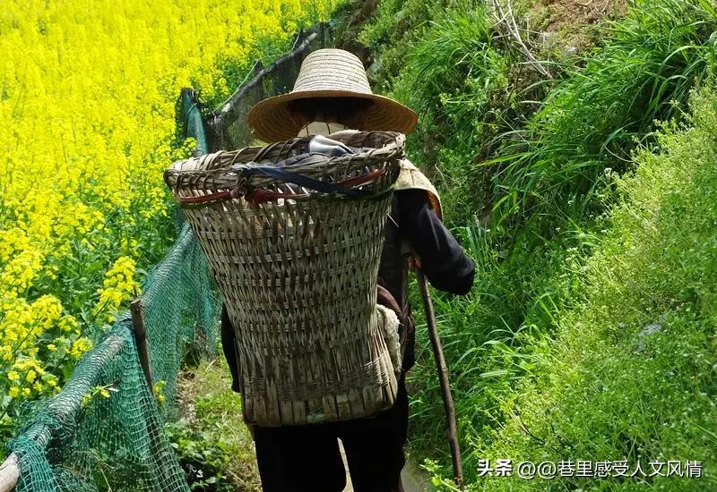 现在农村的老年人幸福吗? 当下，农村老年人的幸福感整体呈上升态势，不过与理想状态