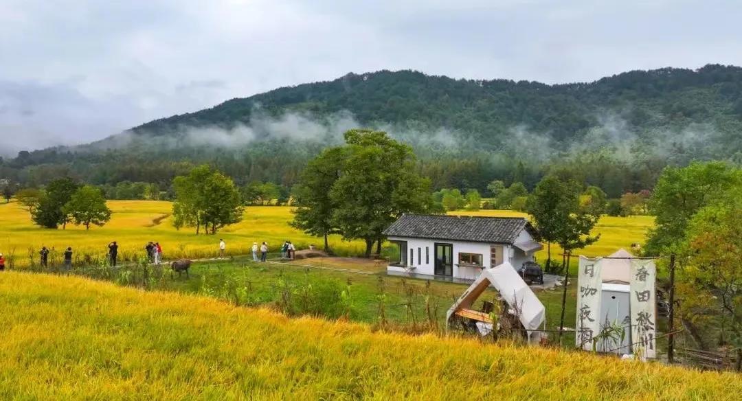 "静谧之境 "心静 "。心静了，世界就静了。要试着安静下来，做自己该做的事情，而