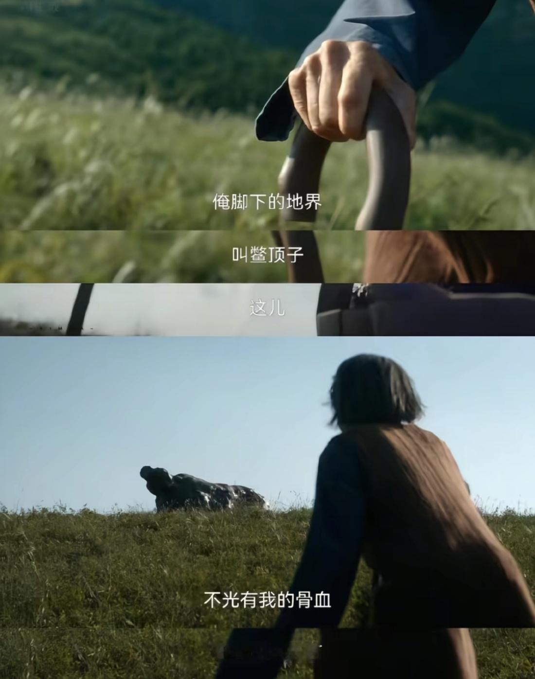 生万物开头的老太是杨幂演的，什么[捂嘴哭]我以为是真的老奶奶替身，杨幂演的太好了