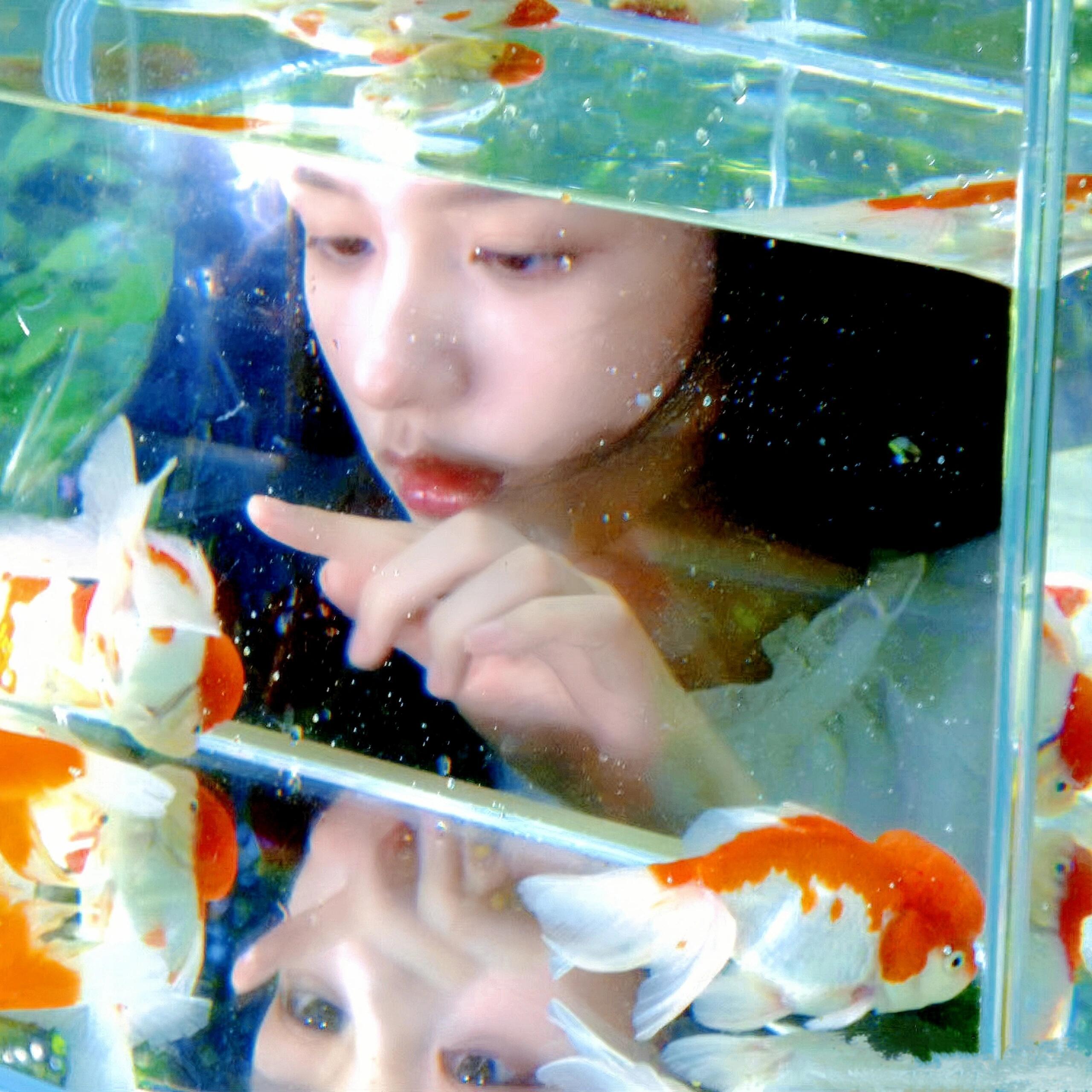 周也   头像合集#无水印头像# ​​​