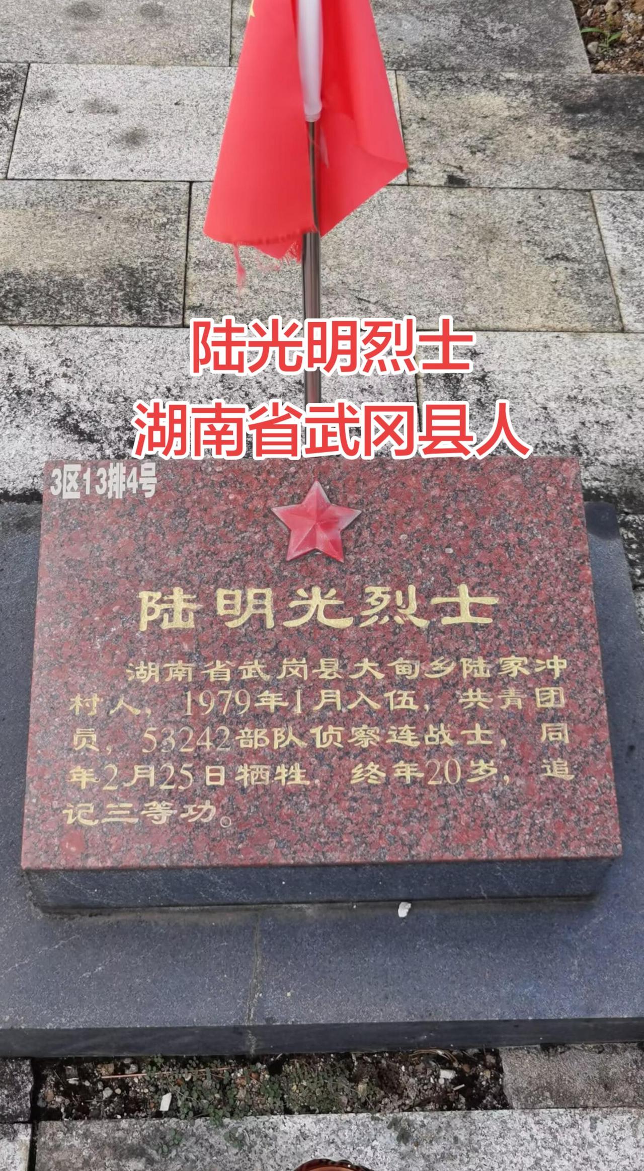 湖南 武冈 对越自卫反击战 人民英雄永垂不朽 铭记英雄