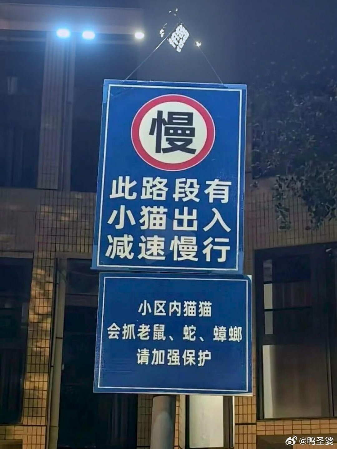 -一个社区，为流浪猫设立的指示牌。人，谢谢你！！！ ​​​