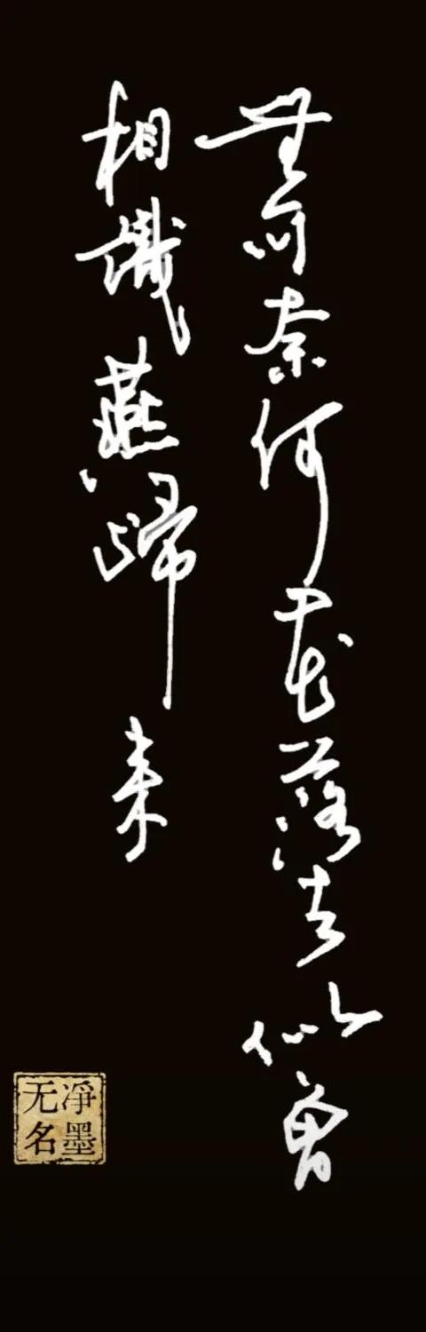 钢笔书写，黑白反色
右列：无可奈何花落去
左列：似曾相识燕归来
出自北宋晏殊《浣
