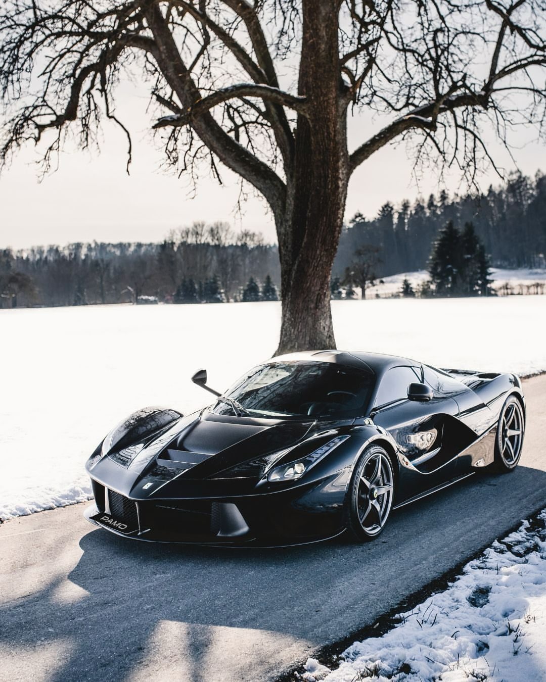 法拉利LaFerrari | 1/499新年。初雪。今日小寒 一辆黑色的LaFe