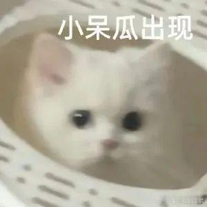 明天咧咧，今天想玩了[开学季] ​​​