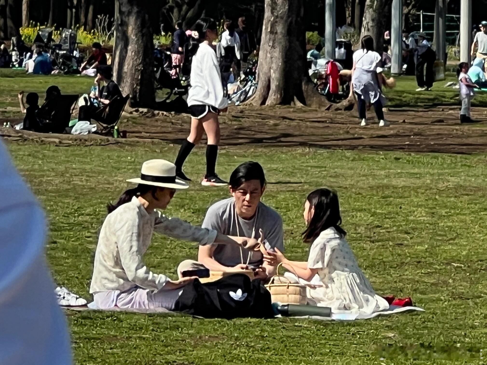 陈冠希一家三口日本野餐，他女儿好幸福！ ​​​