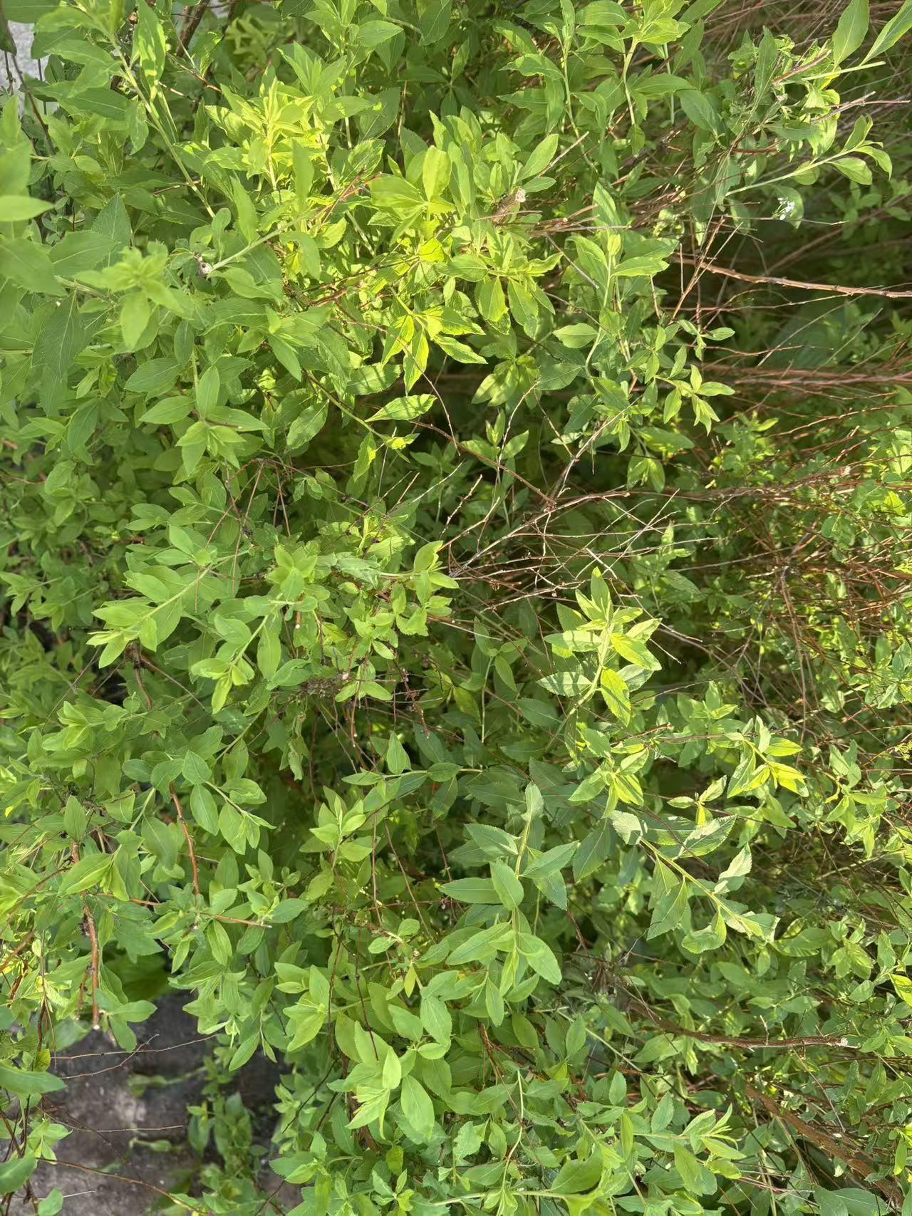 性格会决定人生吗‌：不完全是还有运气的时候，善良是品质，积德行善会有好运气，即使