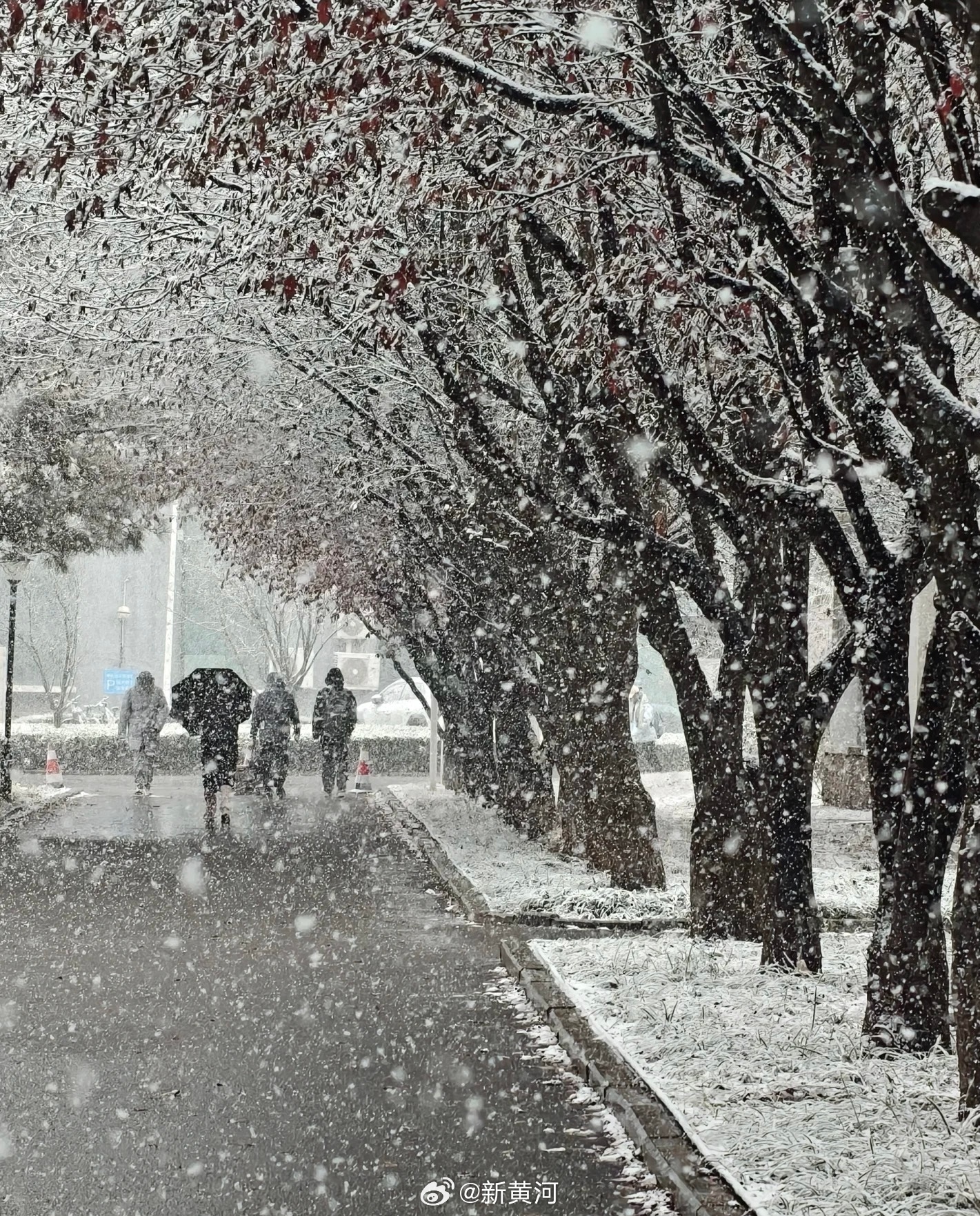 【#山东雪窝子再再再迎降雪#】#有一种美叫山东下雪了# 山东省气象台今天下午预报