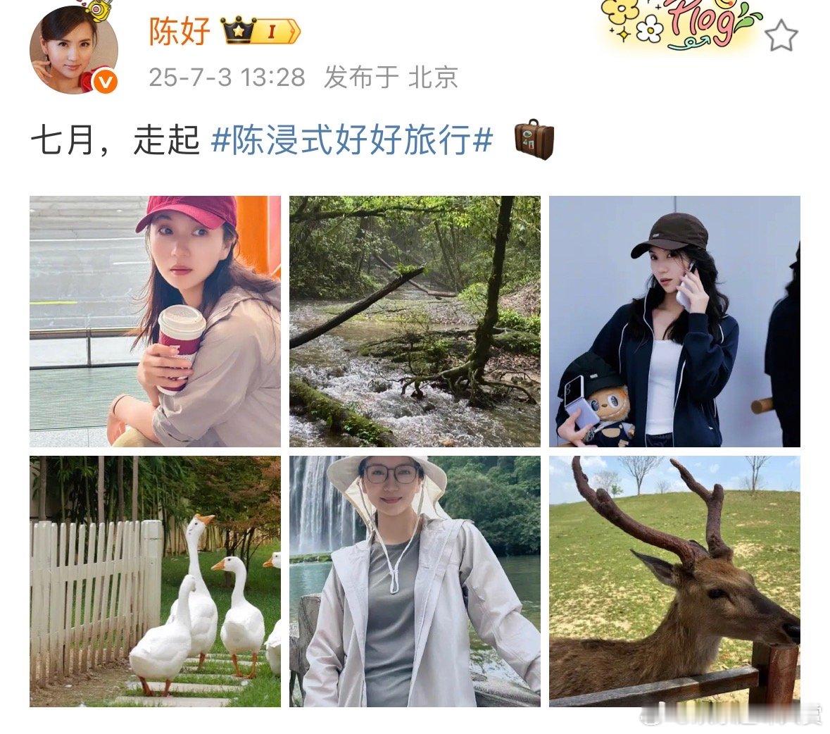 陈好七月走起陈好七月plog 七月旅行看陈好plog就够啦，红帽咖啡开启惬意，山
