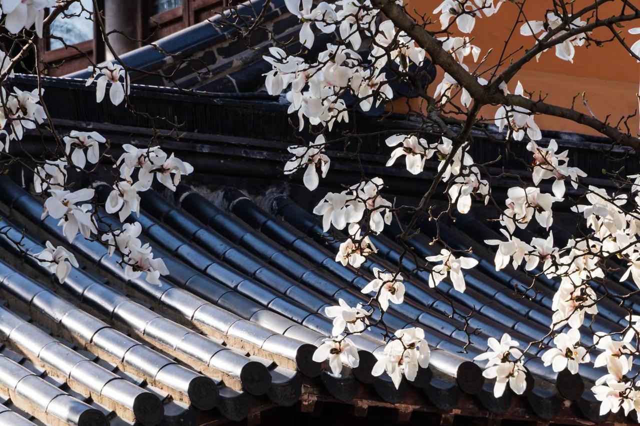 南京灵谷寺。南京灵谷寺风光摄影 风景摄影 我的摄影日记 古建筑之美