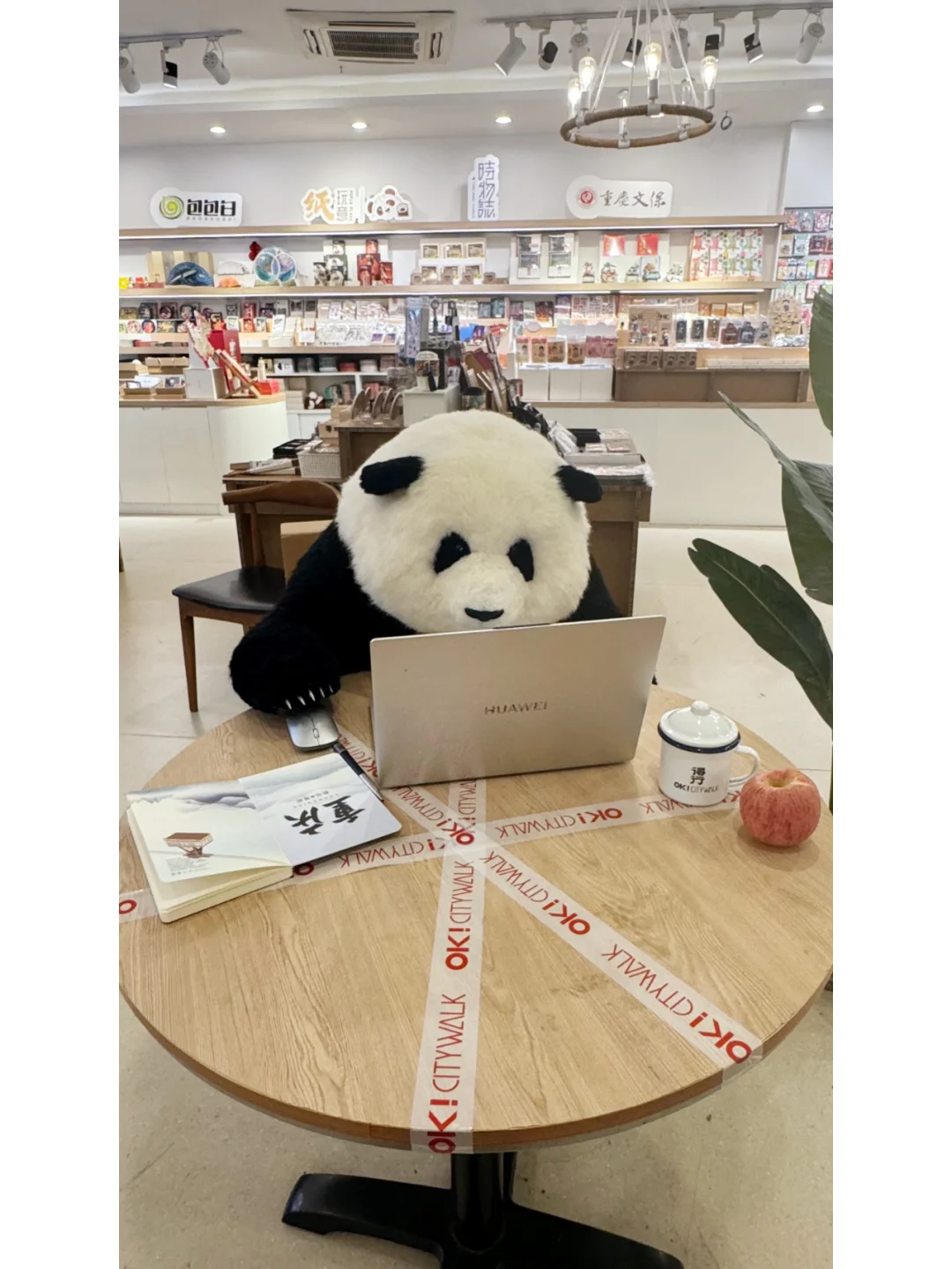 花花局长莅临重庆的工作照流出