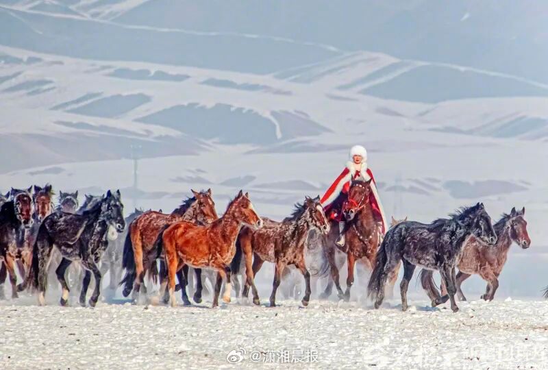 #贺娇龙害怕危险但更害怕辜负家乡#【贺娇龙抢救前还在安排工作：一定拍完】#朋友曾