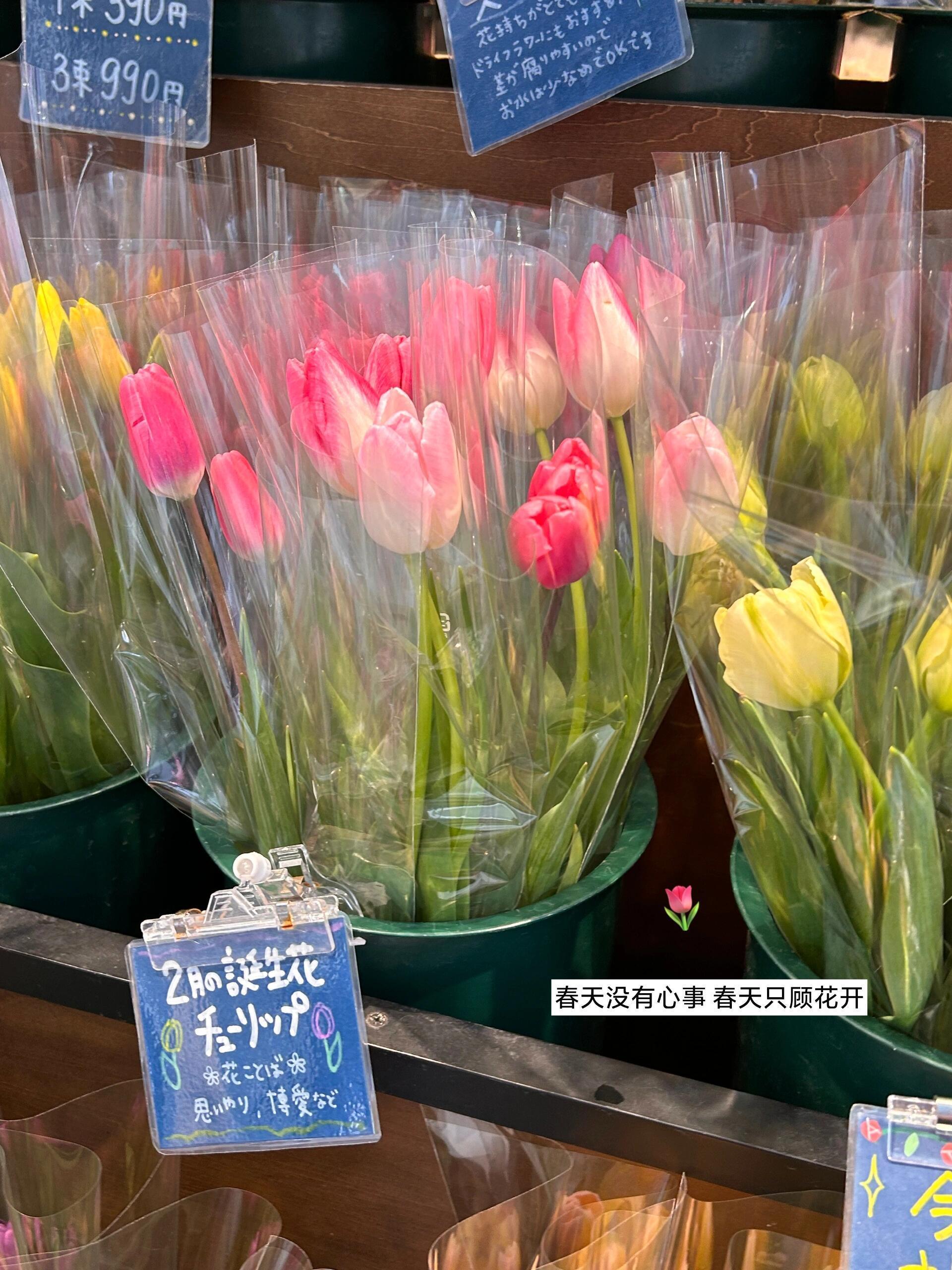 妮可の日常｜人生荒芜  而春天周而复始三月是春天的来临上个周末天气好好 太阳暖暖