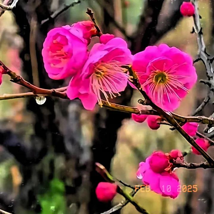 天南地北大拜年戳这里，一起放烟花>天南地北大拜年，此刻春风十里，不如你，让心归零