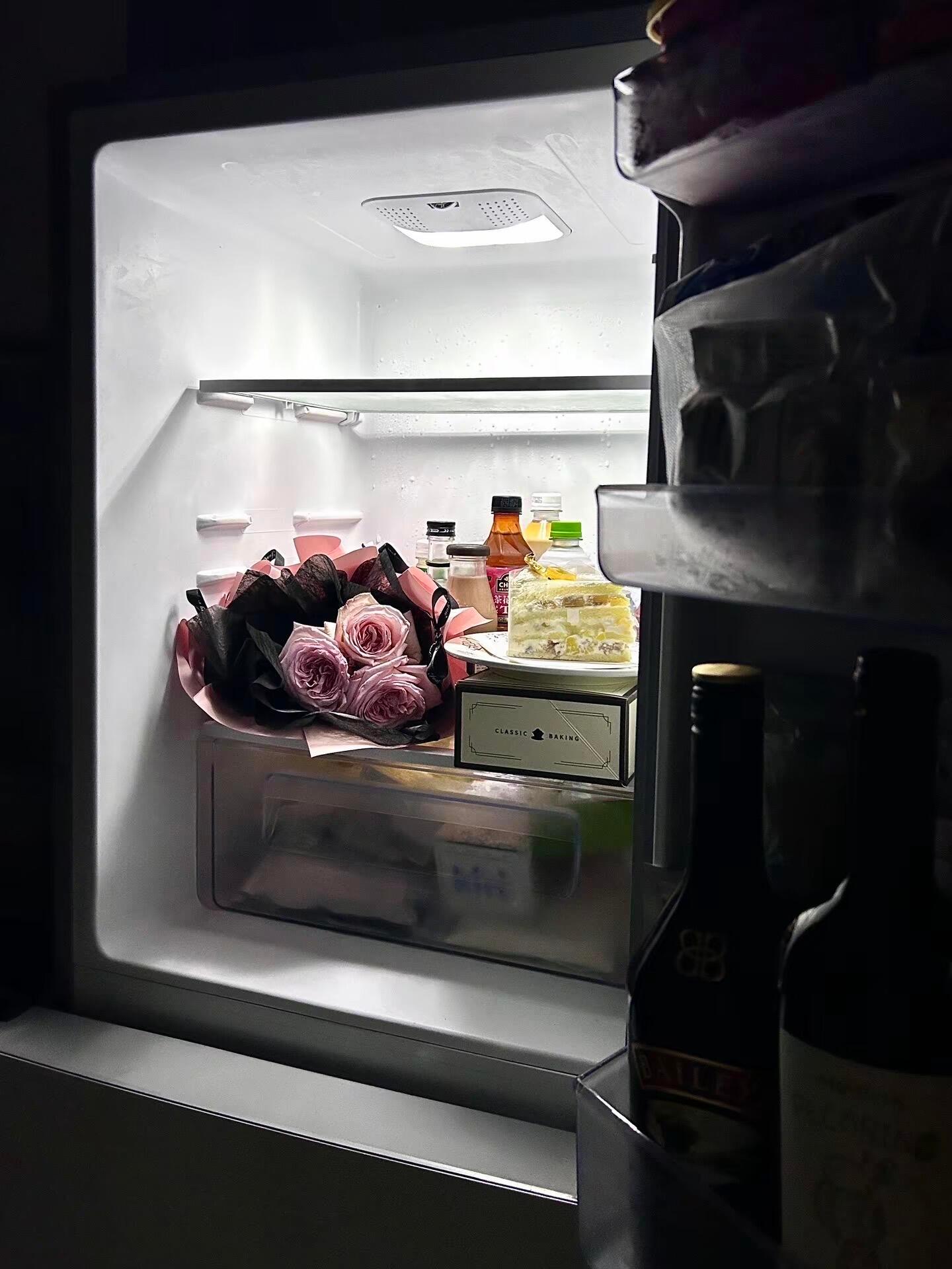 独居以后我的冰箱小米高管谈冰箱得房率