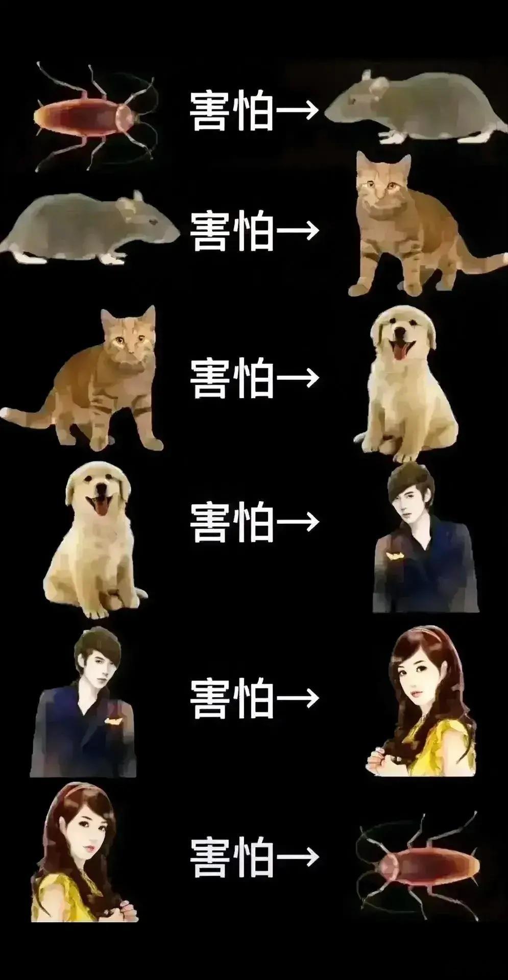 看到这张图以后就不用害怕了[允悲] ​​​