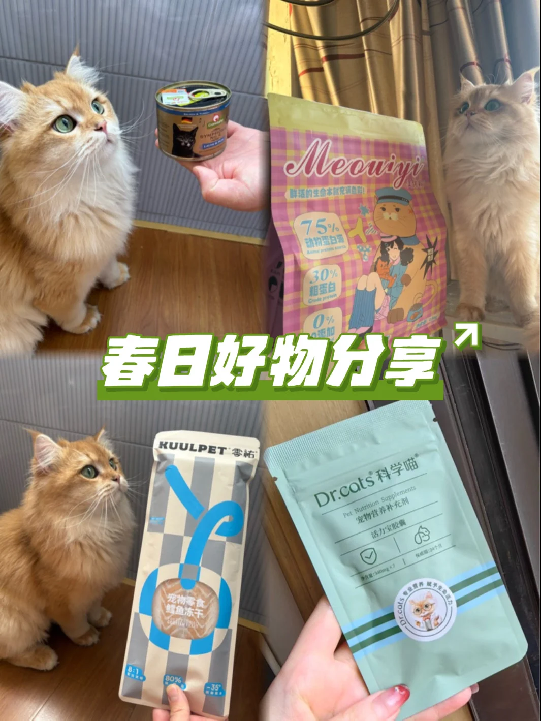 🐱好物分享｜近期超爱的4款宝藏单品！
