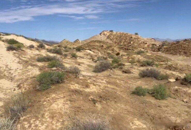 它之下必有树 ​​​