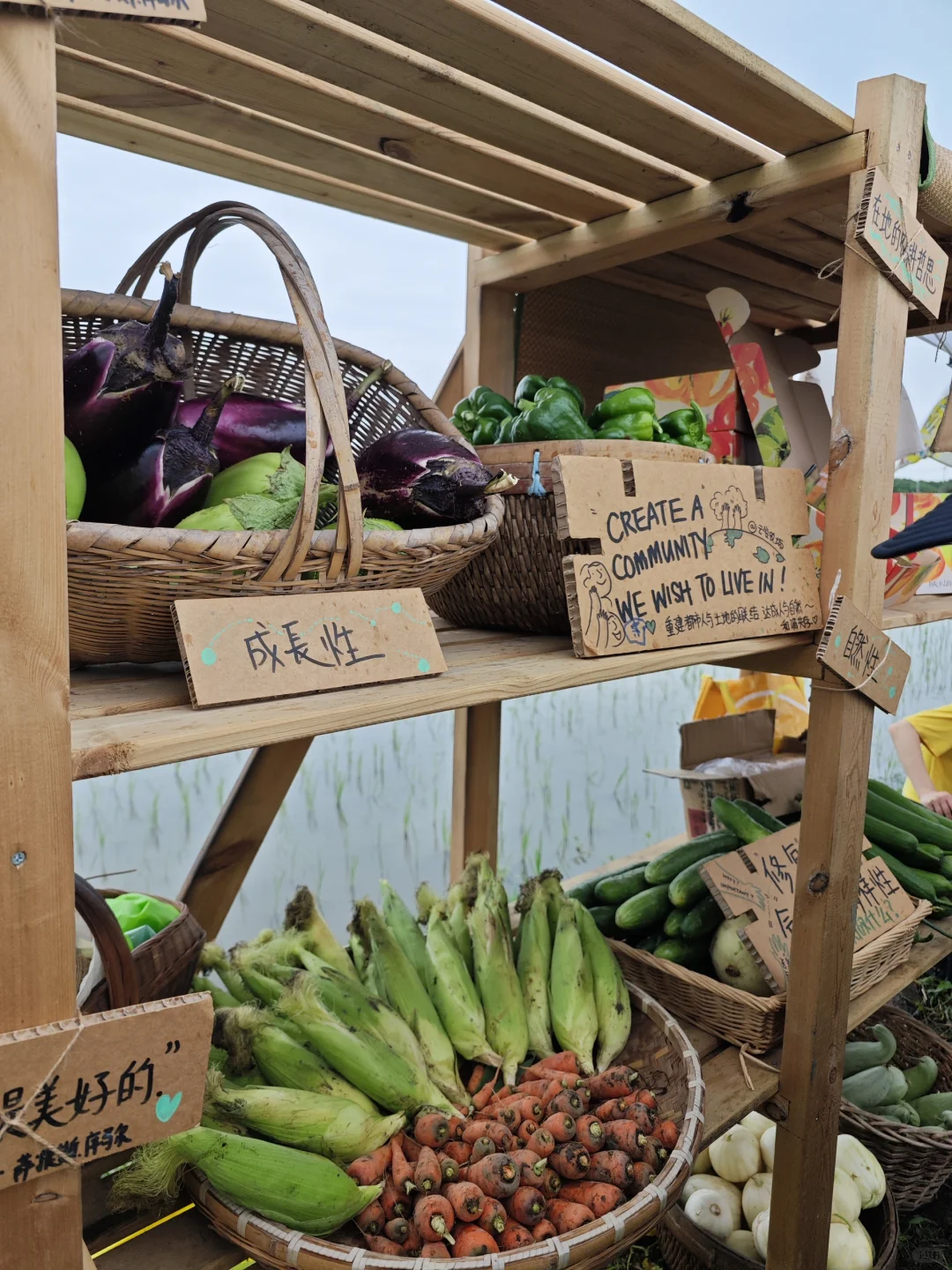 人类的终极目标 也许是回村种田！🦆