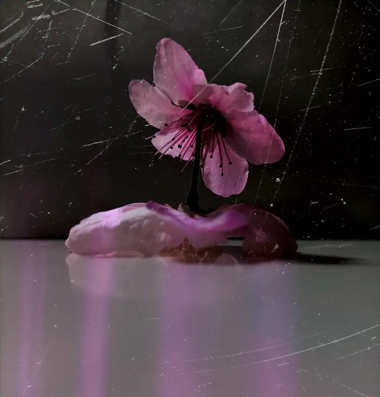 烂桃花缠身，从来不是运气差，多半是自身气场和择偶标准出了问题。
 
一是心软底线