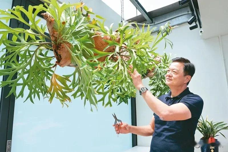 周锡玮的退休生活：种花减碳   作画废寝忘食

前台北县长周锡玮离开政坛后潜心作