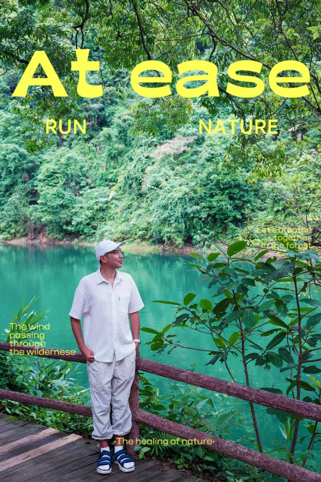 走进广东的天然氧吧，体验原始森林的宁静与美好 鼎湖山作为广东著名的自然...