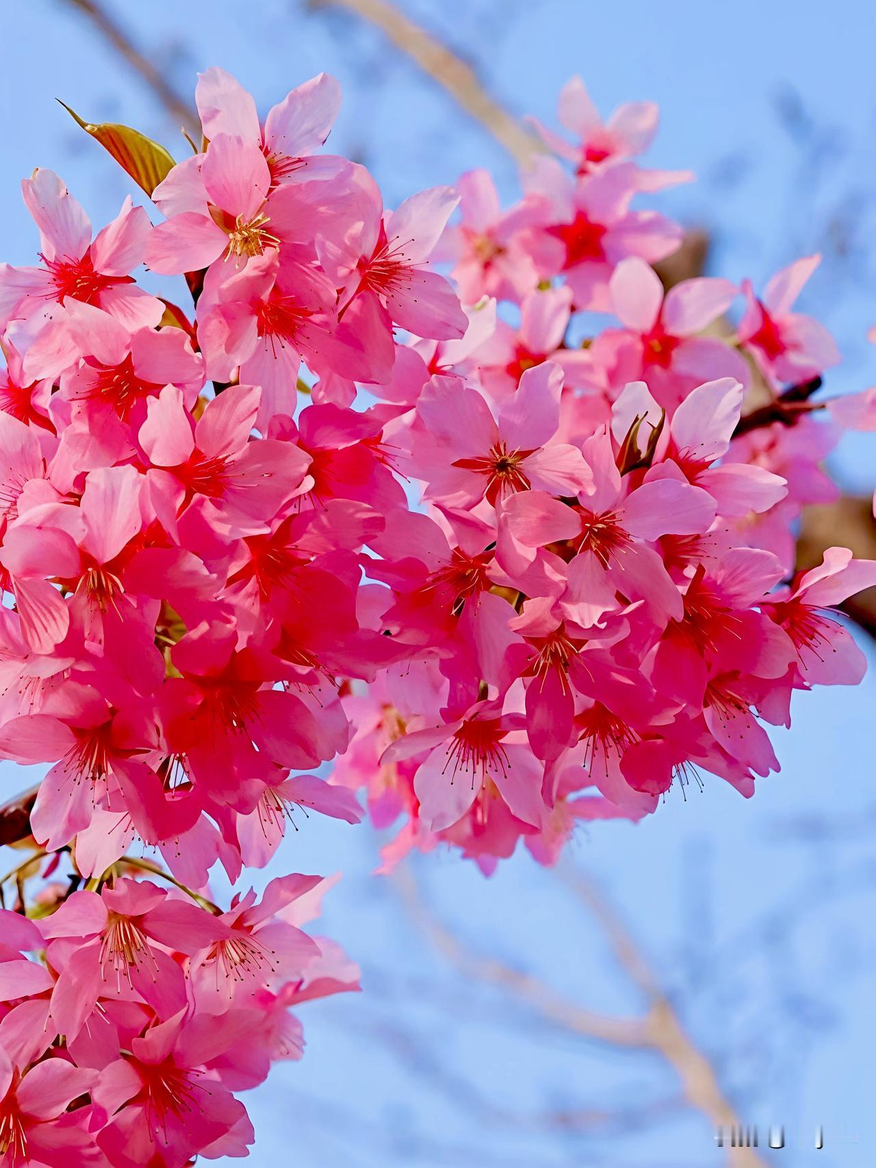 清晨一声问候，
是真心的惦记；
平凡的日子，
因有你而温暖；
愿你我都能被生活温
