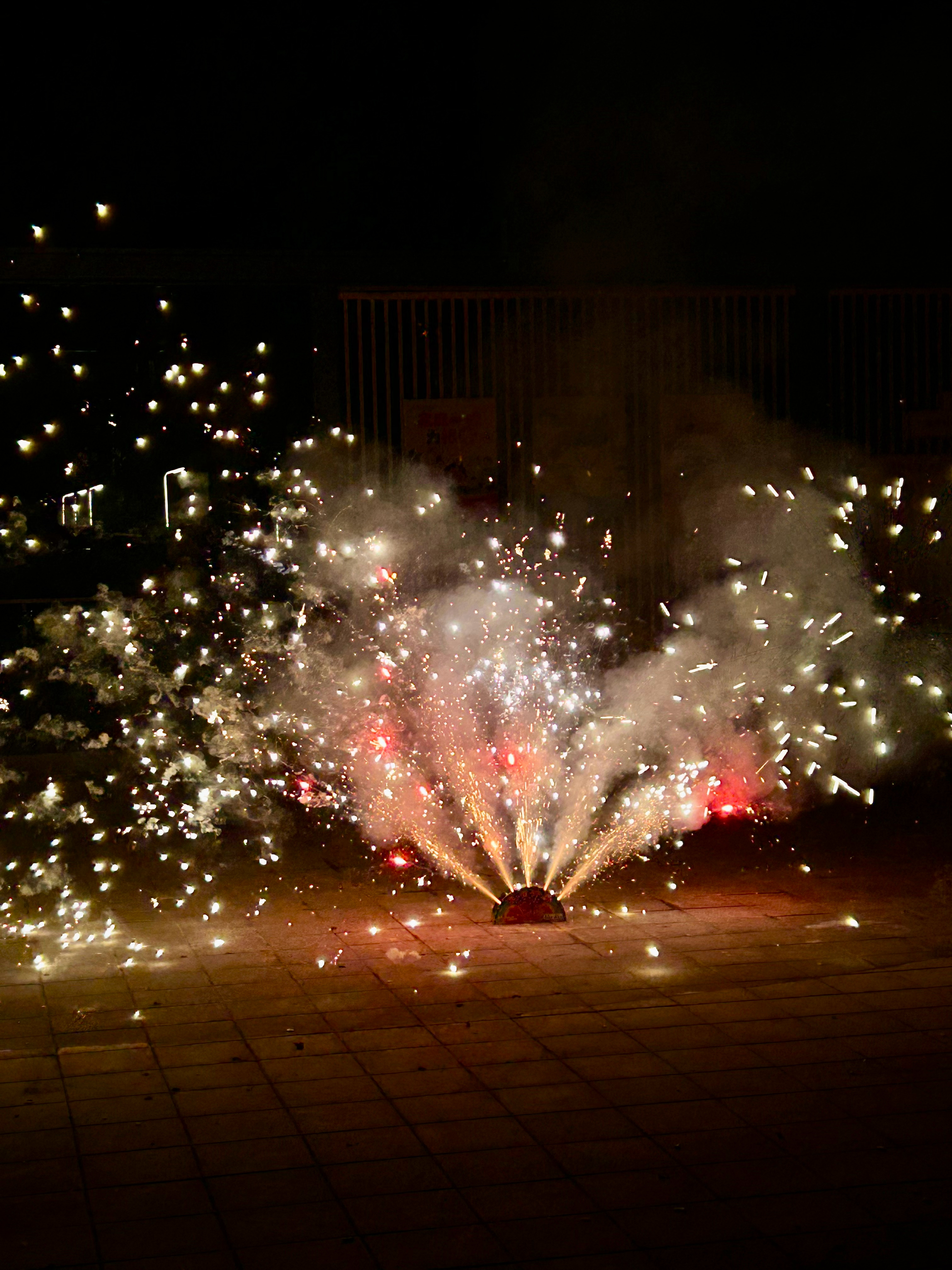 烟花🎆的侧面是爱人的脸 