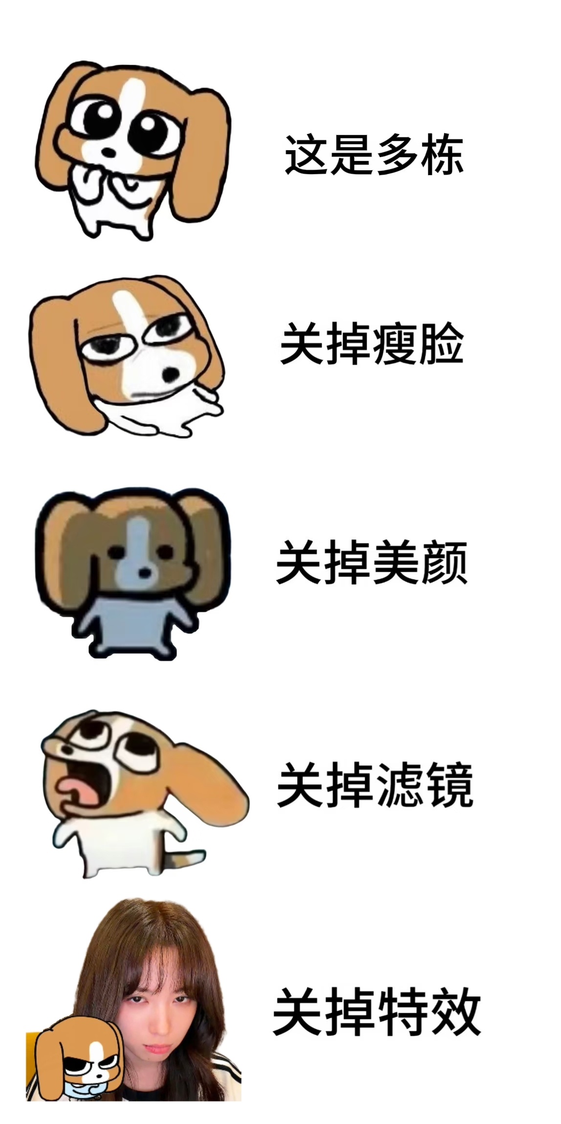 在线寻狗。我家狗呢，有人捡到了吗。 