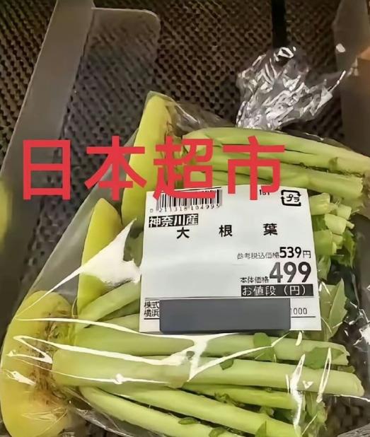 日本老百姓苦高市早苗久矣，连萝卜缨子都成为了一道菜，还放在超市卖。
萝卜、白菜、