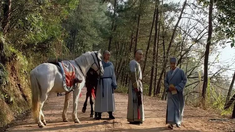 我的老天爷诶！难道有假马？
重刷甄嬛传时偶然发现黑马的站姿有点奇怪，而且一直纹丝