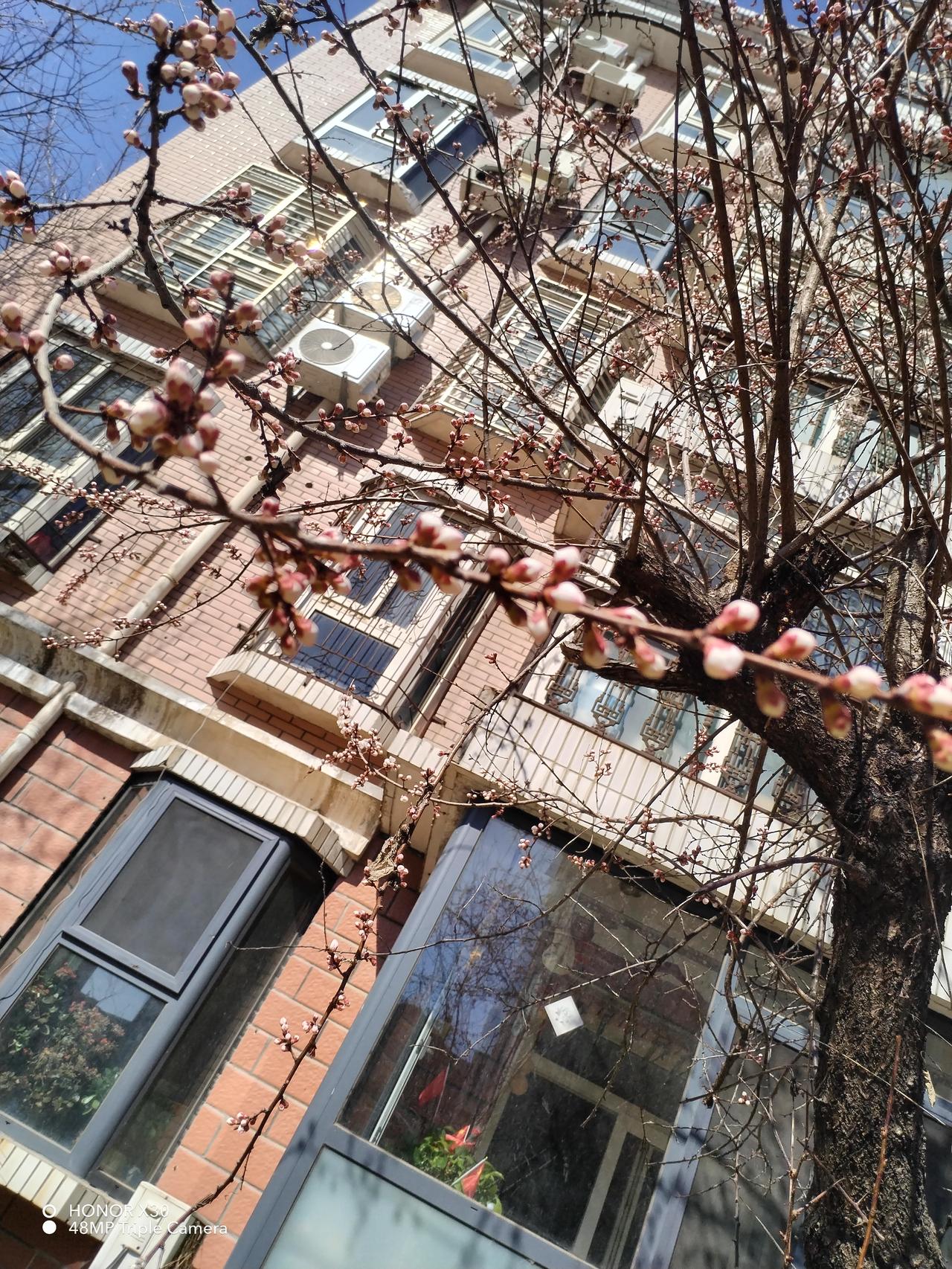 悠闲地散散步，或是坐在窗边静静赏风景，阳光明媚。
春天是劳动的季节，雪后拿起铁锹