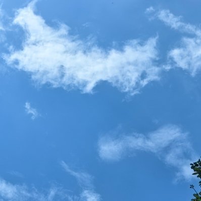 每日一善 日子是素色的画布，我们借来阳光、月光和目光，为它涂上温暖的色彩。 