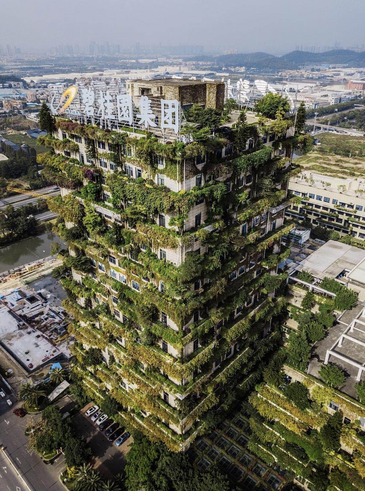 碧桂园逃过一劫？法院突然撤掉清盘申请，背后藏着什么信号？

最近，香港高等法院一