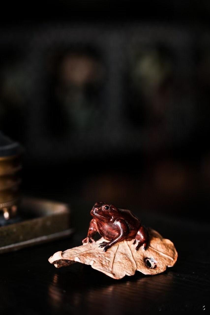一只小蛙，能有多大气场？

小叶紫檀的底色沉稳如夜，光泽内敛不浮。蛙伏叶心，似刚