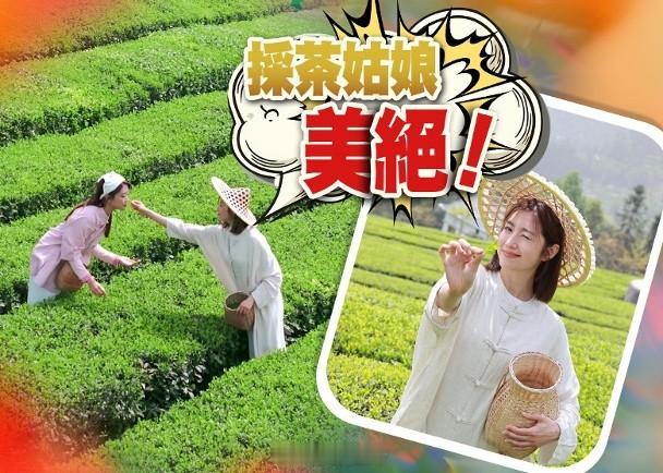 【On.cc】陳自瑤林凱恩化身採茶姑娘　上品獻皇上無綫藝人陳自瑤、張頴康、林凱恩