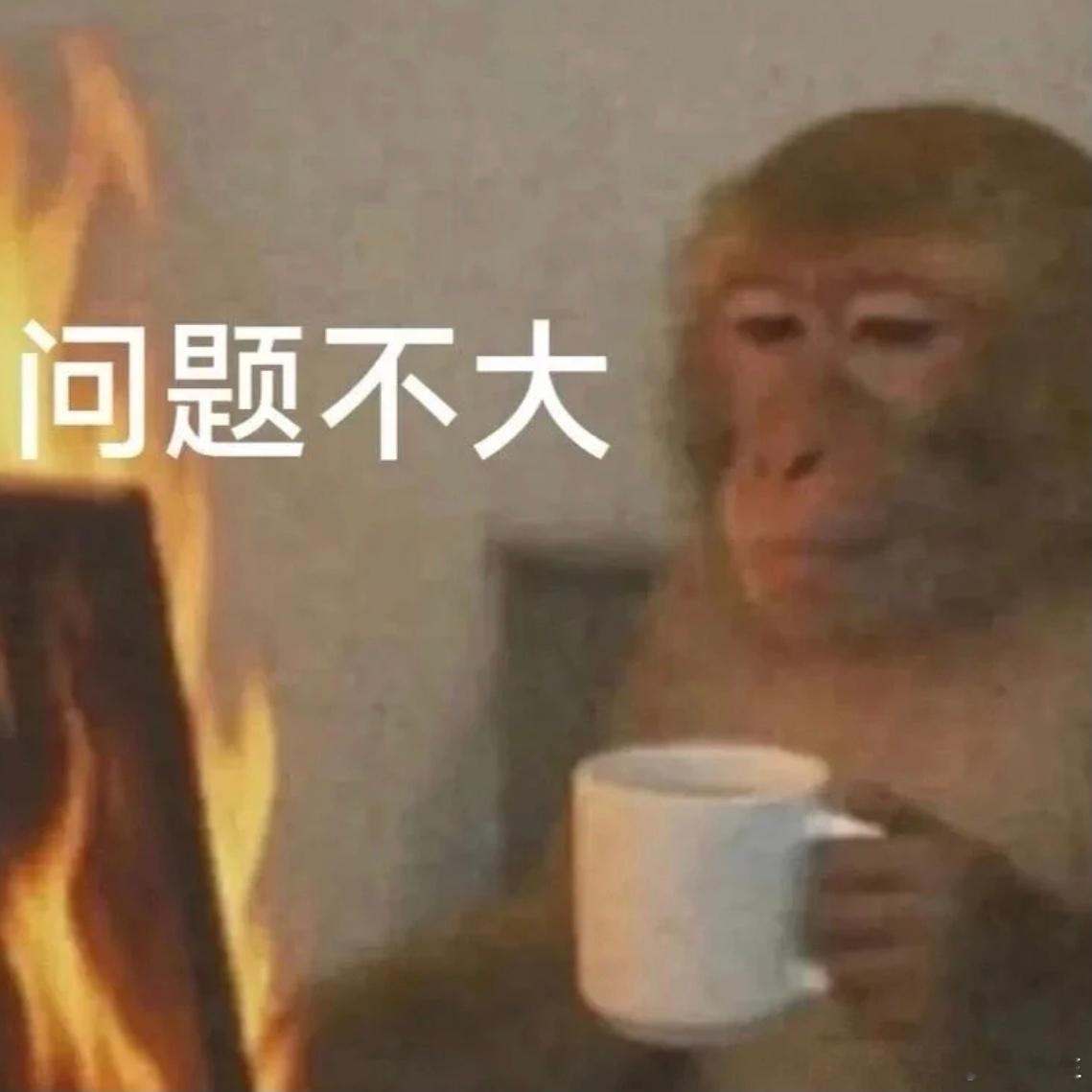 我经常劝很多学员的一句话：脑子长出来之前先学会闭嘴但奈何不长脑子的恰恰也学不会闭