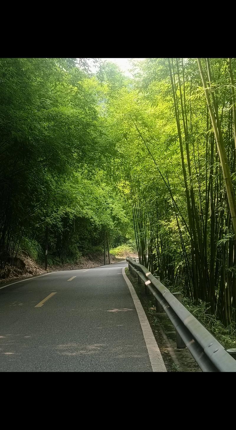 人这一辈子，真正能靠得住的，
从来不是什么运气和捷径，
而是踏实做事、本分做人、