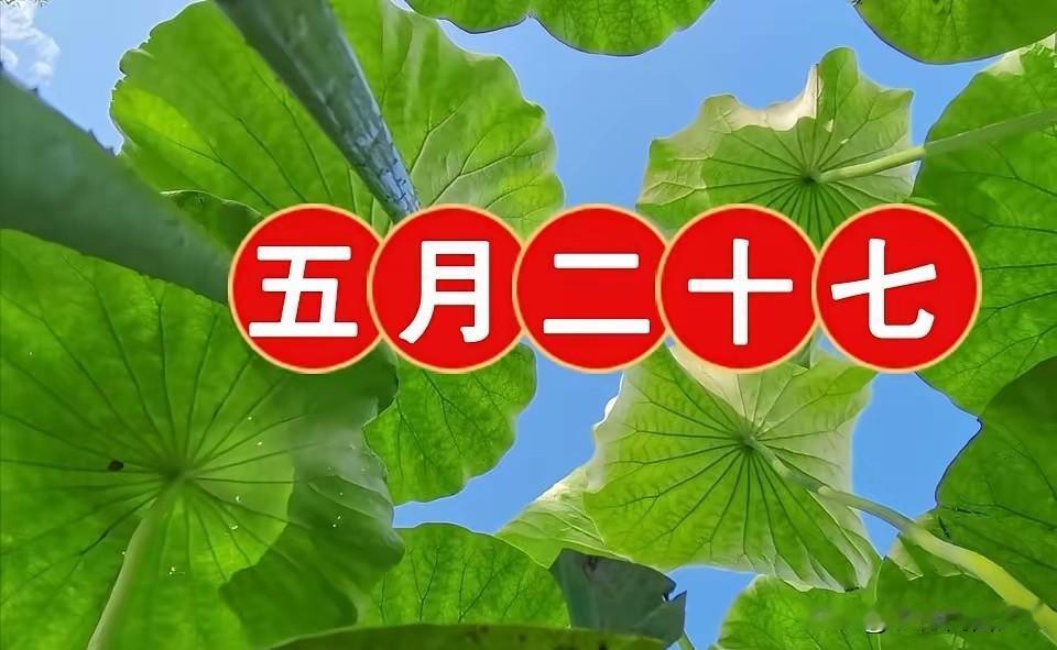 今日五月二十七，牢记白天3禁忌，晚上2注意，别忘了告诉家人
 
农历五月二十七，